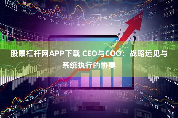 股票杠杆网APP下载 CEO与COO：战略远见与系统执行的协奏